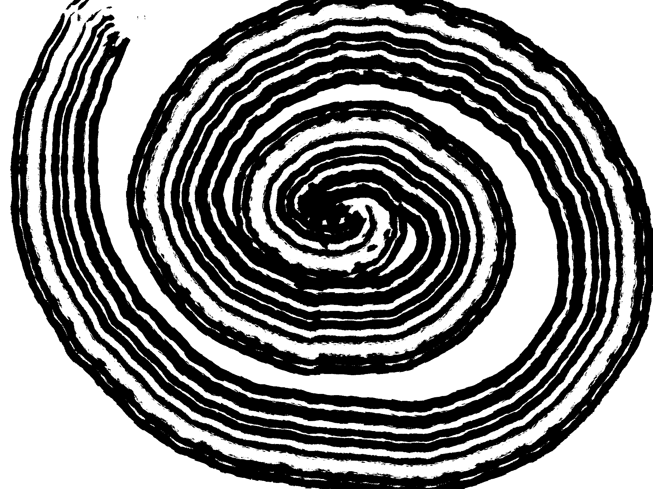 Spin