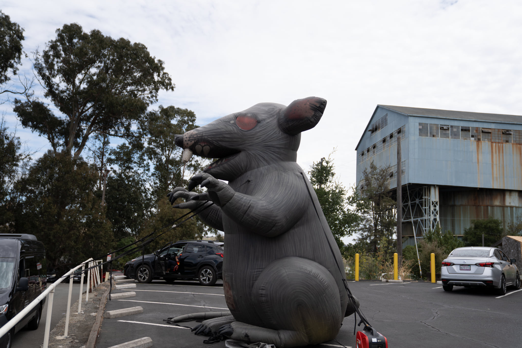 An inflatable rat.